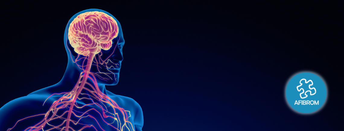 sistema nervioso parasimpñatico 